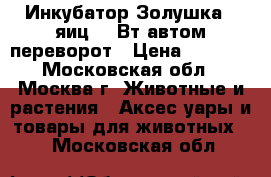 Инкубатор Золушка 70яиц 220Вт автом.переворот › Цена ­ 3 250 - Московская обл., Москва г. Животные и растения » Аксесcуары и товары для животных   . Московская обл.